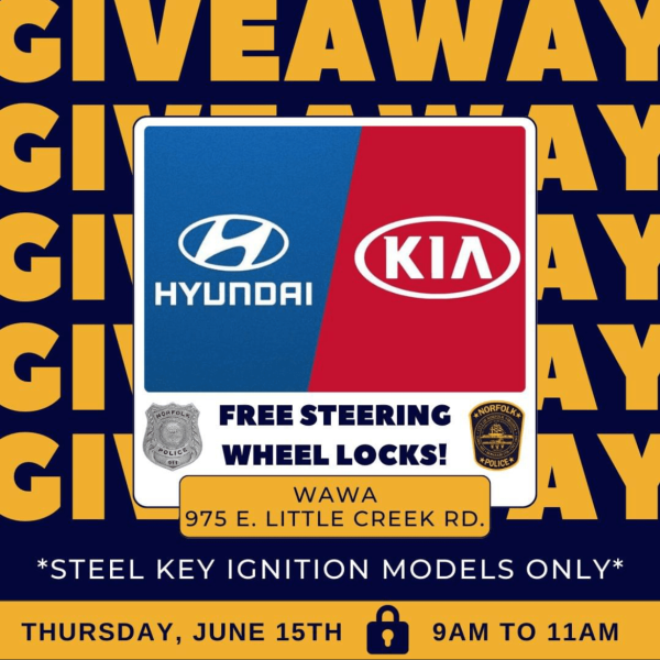 steering wheel locks to Hyundai and Kia